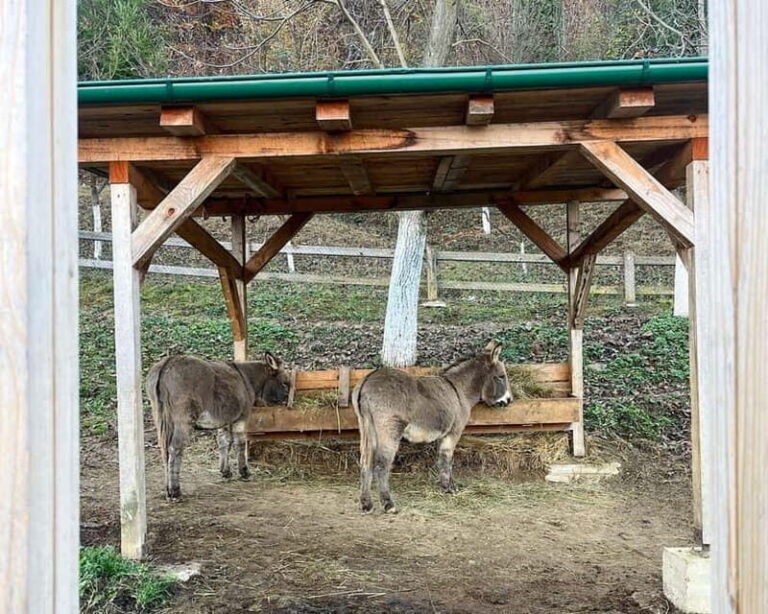 From Sarajevo: Visoko Pyramids, Plantations & Horse Riding - Farm Life and Adventure at Malak Farm