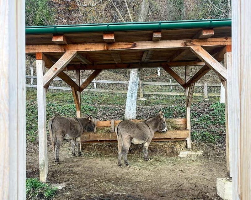 From Sarajevo: Visoko Pyramids, Plantations & Horse Riding - Farm Life and Adventure at Malak Farm