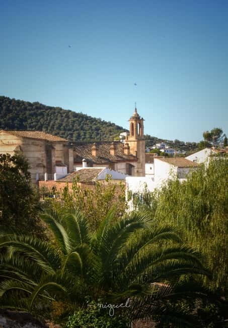 From Seville: Cerro del Hierro Private Hike with Picnic - Walking Through Ecosystems: From Martian to Mediterranean
