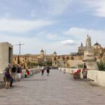 From Seville: Cordoba Full-Day Private Tour - Who Will Love This Tour?