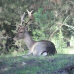 From Seville: Doñana National Park Full-Day Private Tour - What Makes This Tour Stand Out