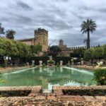 From Seville: Full-Day Cordoba Private Tour - What’s Included & What to Consider