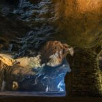 From Seville: Full-Day Tour to Tangier - What to Expect on the Tour