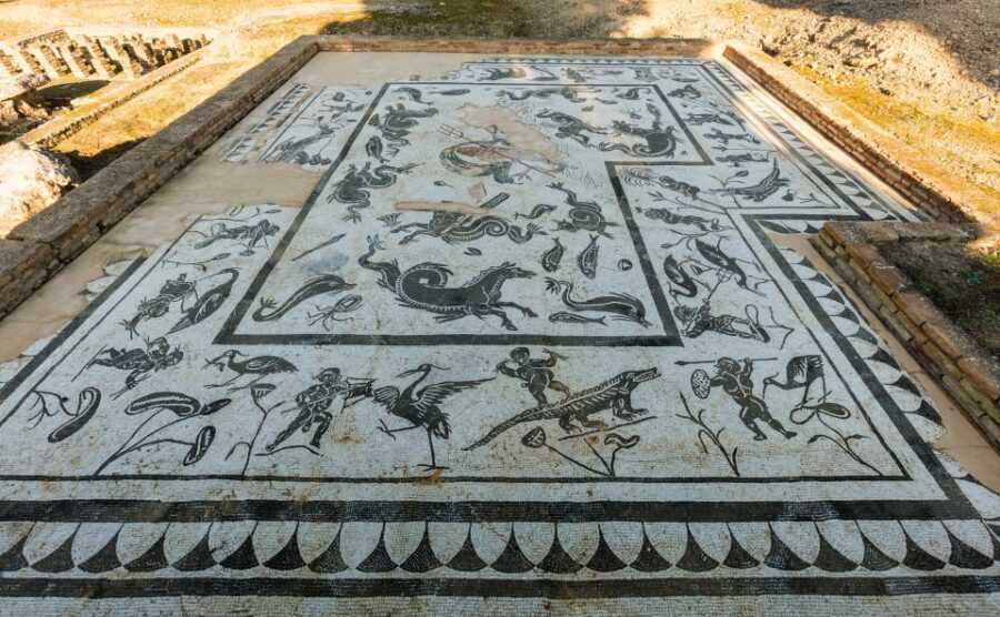 From Seville: Italica Roman City & Medieval Monastery Tour - Who Will Love This Tour?