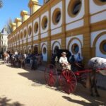 From Seville: Jerez and Cadiz Day Trip - Who Should Take This Tour?