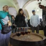 From Seville: Jerez, Cádiz and Andalusian Horses - What to Expect and Practical Tips