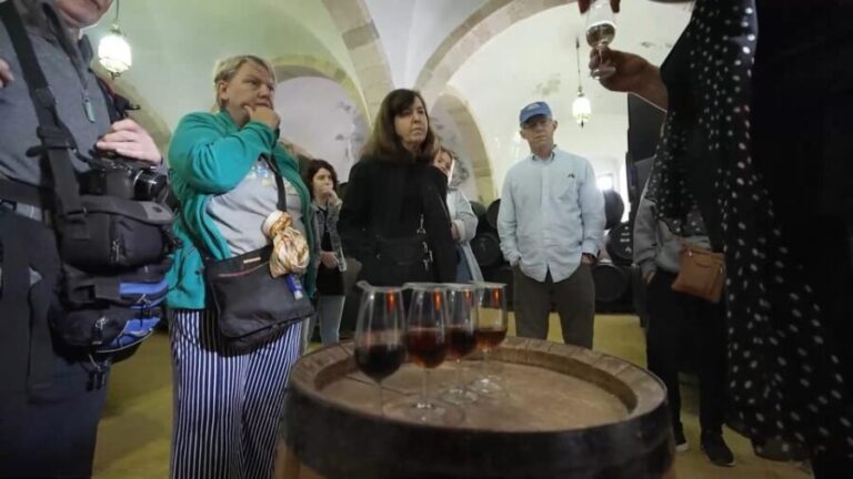 From Seville: Jerez, Cádiz and Andalusian Horses - What to Expect and Practical Tips