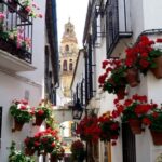 From Seville: Private Transfer to Granada and Córdoba Tour - What to Expect: Practical Details