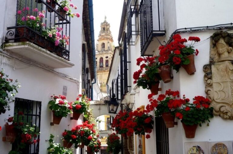 From Seville: Private Transfer to Granada and Córdoba Tour - What to Expect: Practical Details