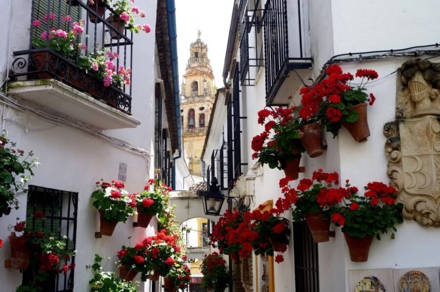 From Seville: Private Transfer to Granada and Córdoba Tour - What to Expect: Practical Details