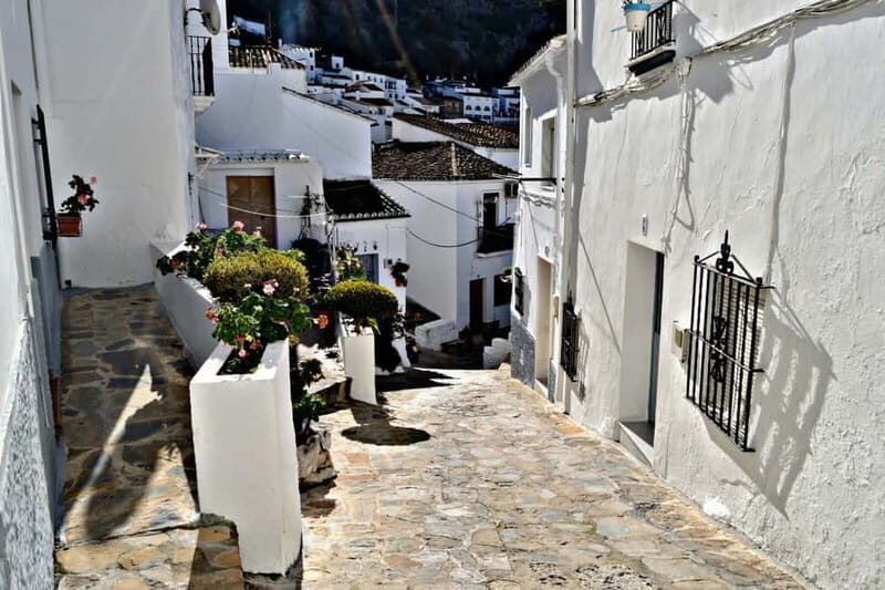 From Seville: White Villages and Ronda private day trip - Who Will Love This Tour?