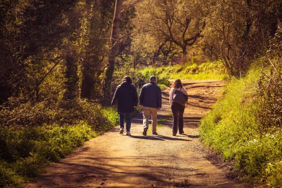 From Seville: White Villages of Huelva Private Full-Day Tour - Itinerary Breakdown: What to Expect