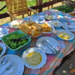 From Shkoder: Bio Farm Experience Guided Tour - Who Is This Tour Best For?