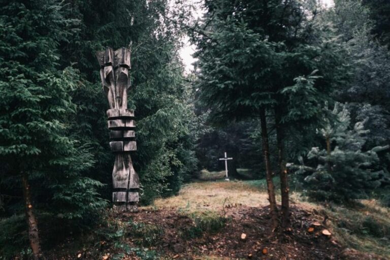 From Sibiu: Guided tour through the heart of Marginimea. - Detailed Breakdown of the Itinerary