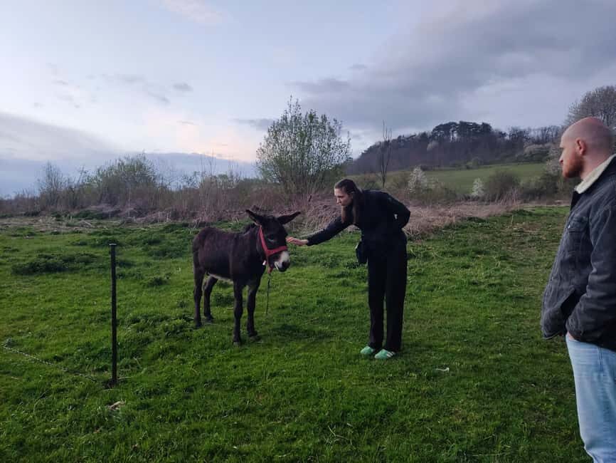 From Sibiu: Villages, Farm Life & Horse Carriage Ride - A Touch of Nostalgia: The Horse Carriage Ride