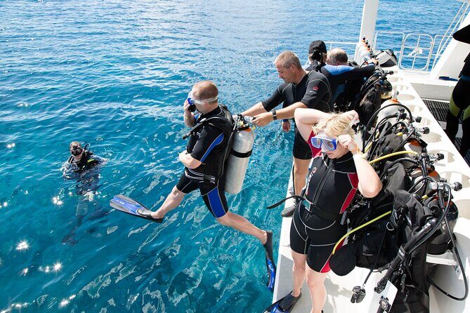 From Side, Alanya: Scuba Diving With 2 Time Dive & Lunch - The Sum Up: Who Will Love This Tour?