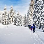 From Sirkka: Levi Summit Guided Nature Snowshoeing Tour - Authentic, Balanced, and Enjoyable