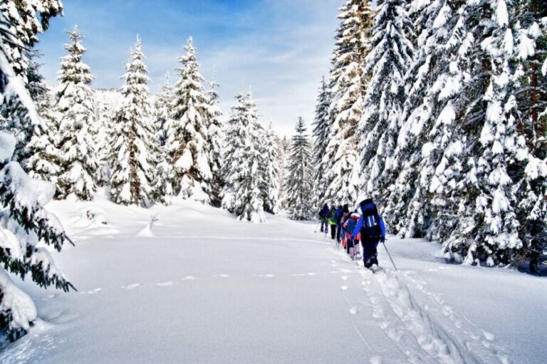 From Sirkka: Levi Summit Guided Nature Snowshoeing Tour - Authentic, Balanced, and Enjoyable