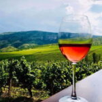 From Skopje: Private Tour of Sopot Winery with Lunch - Is the Experience Worth It?