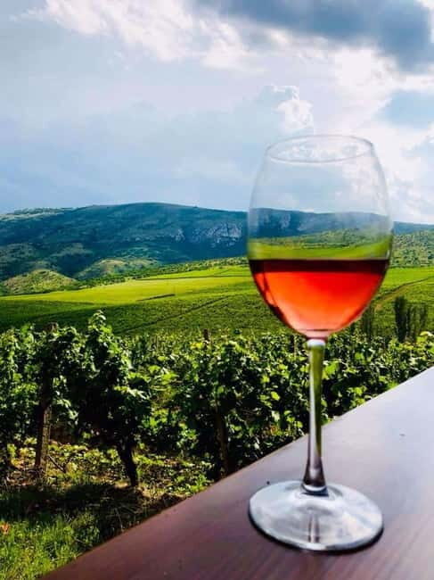 From Skopje: Private Tour of Sopot Winery with Lunch - Is the Experience Worth It?