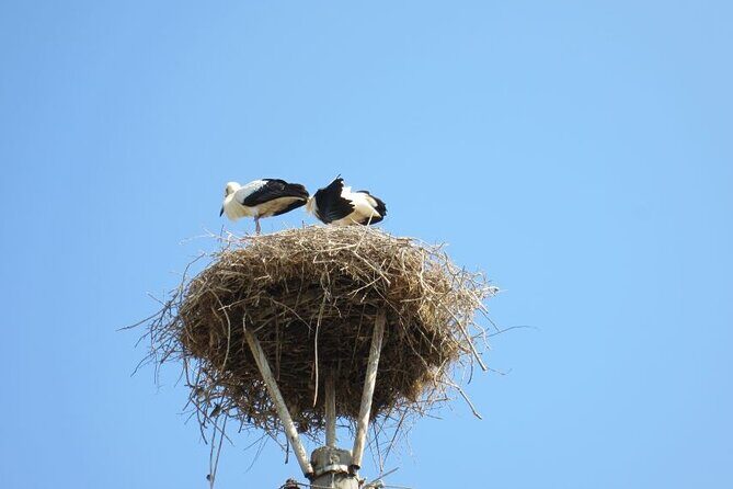 From Sofia: Serbia and Macedonia Trip - About the Logistics and Cost