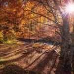 From Sofia: Vitosha Mountain and Pancharevo Lake - Final Thoughts: Who Will Love This Tour?