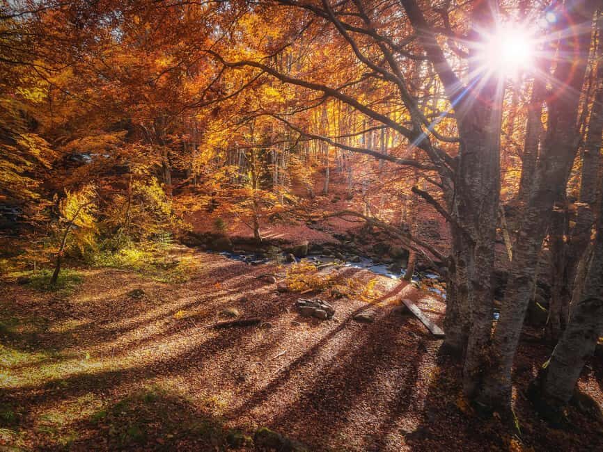 From Sofia: Vitosha Mountain and Pancharevo Lake - Final Thoughts: Who Will Love This Tour?