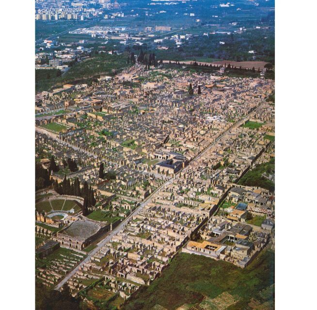 From Sorrento:Skip-the-line Pompeii Ruins All-inclusive Tour - Who Should Book This Tour?