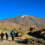 From South Tenerife: Half-Day Tour to Mount Teide - Who Is This Tour Best For?