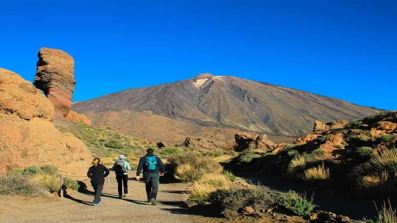 From South Tenerife: Half-Day Tour to Mount Teide - Who Is This Tour Best For?