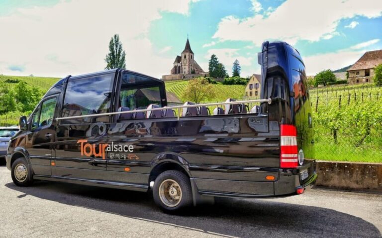 From Strasbourg: Medieval Villages & Wine Tasting Day Trip - What Makes This Tour Stand Out?