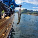 From Svolvaer: Lofoten Fishing Boat Cruise - The Value for Money