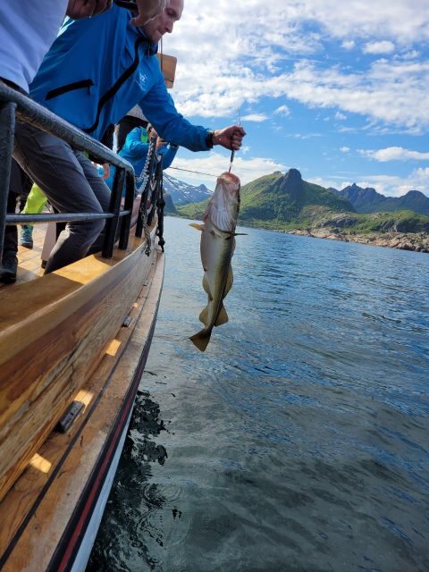 From Svolvaer: Lofoten Fishing Boat Cruise - The Value for Money