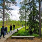 From Tallinn: Bog walk and Sauna Tour - Practical Details