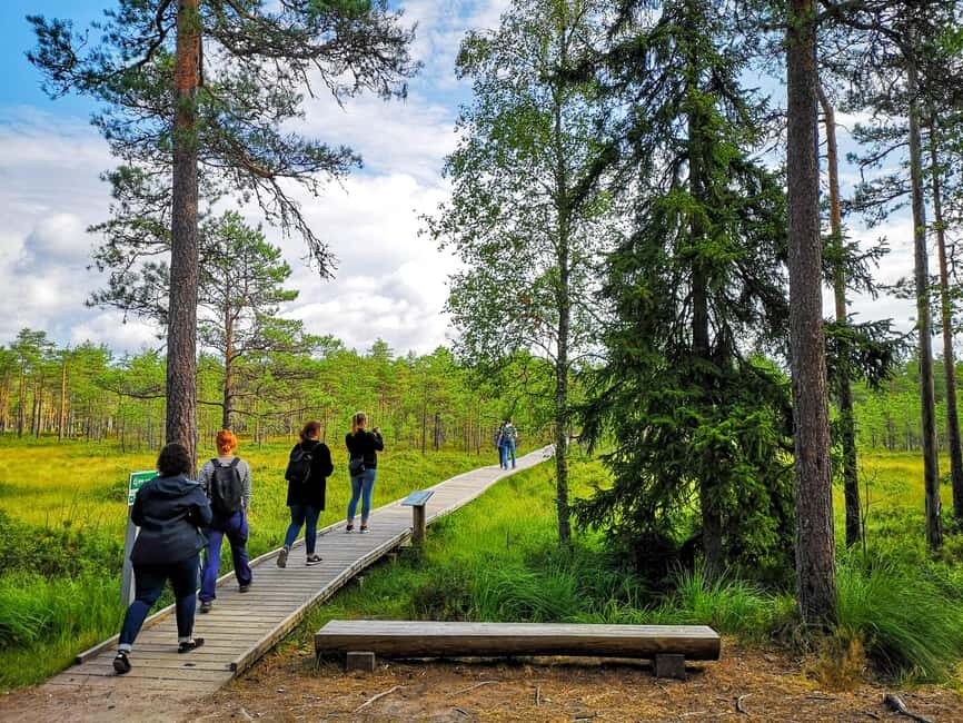 From Tallinn: Bog walk and Sauna Tour - Practical Details