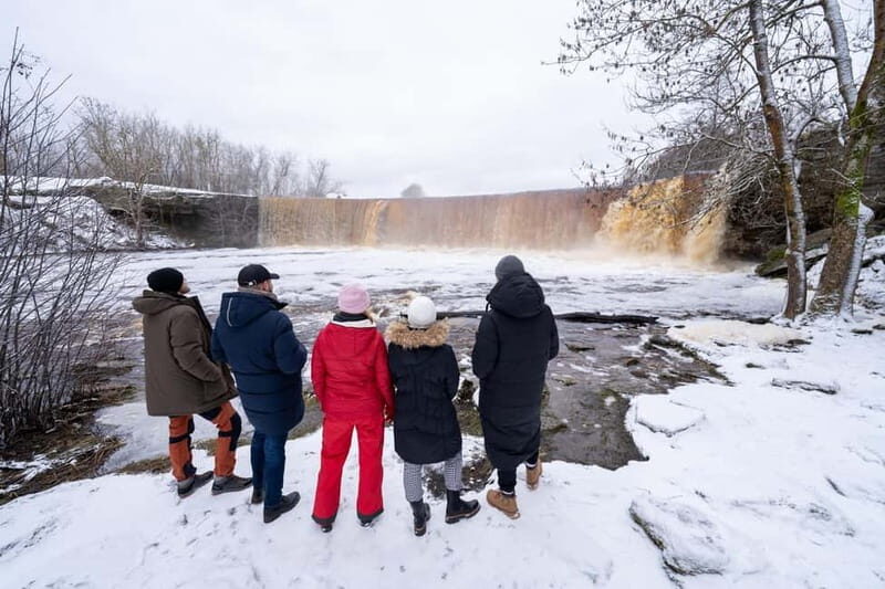 From Tallinn: Day Trip to Lahemaa National Park - The Experience of the Guides and Atmosphere