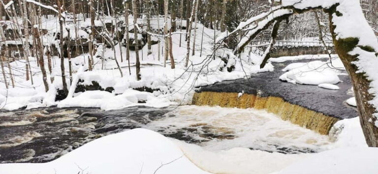 From Tallinn: Lahemaa National Park 3 Waterfall Hike - Is This Tour Worth It?