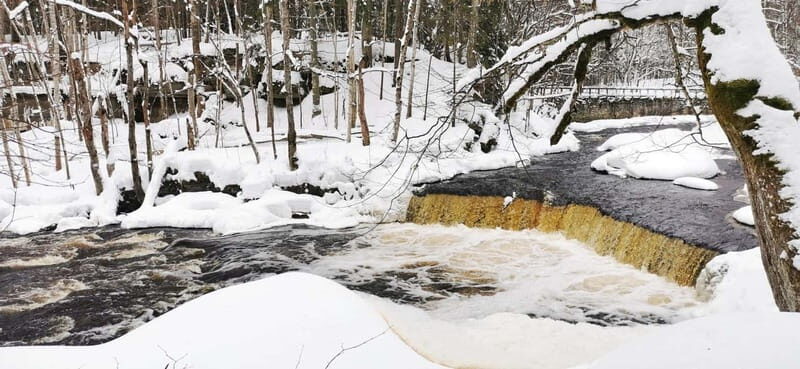 From Tallinn: Lahemaa National Park 3 Waterfall Hike - Is This Tour Worth It?