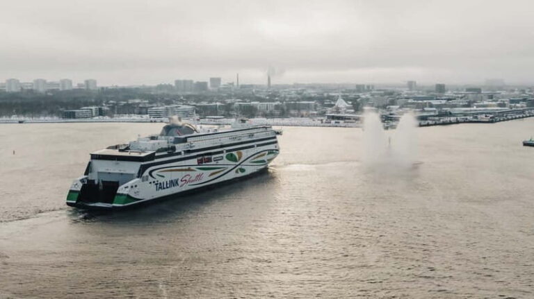 From Tallinn: Return Day Trip Ferry Transfer to Helsinki - Starting the Journey: From Tallinn’s D-Terminal