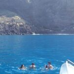 From Tazacorte: Discover the Northwest Coast by Speedy Yacht - Final Thoughts: Who is This Tour Perfect For?