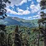 From Tbilisi: Bakuriani 1-Day Eco Tour by Electric Car - What Sets This Tour Apart?