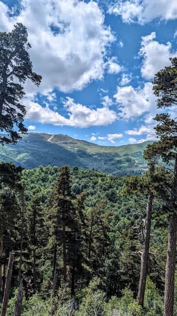 From Tbilisi: Bakuriani 1-Day Eco Tour by Electric Car - What Sets This Tour Apart?