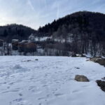 From Tbilisi: Bakuriani and Borjomi Day Trip - What’s Included and What to Keep in Mind