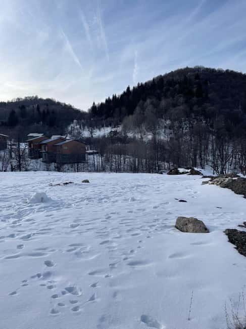 From Tbilisi: Bakuriani and Borjomi Day Trip - What’s Included and What to Keep in Mind