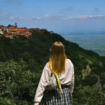 From Tbilisi: Kakheti Wine Region Tour with 9 Wine Tastings - The Experience Breakdown: What You Can Expect