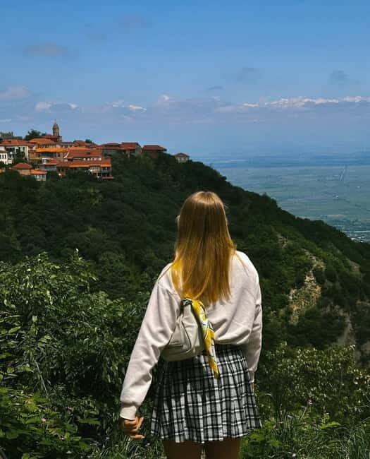 From Tbilisi: Kakheti Wine Region Tour with 9 Wine Tastings - The Experience Breakdown: What You Can Expect