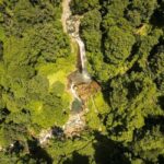 From Tbilisi: Private Ninoskhevi Waterfall Hike in Lagodekhi - Practical Details and Value