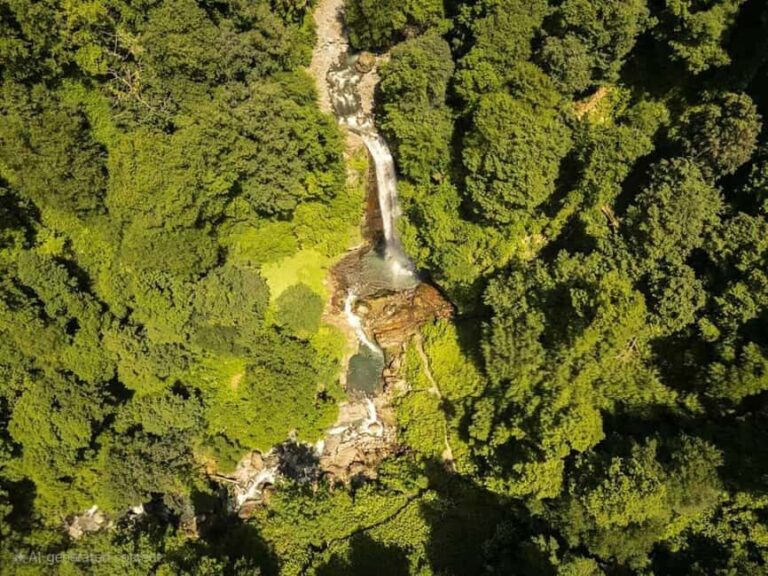 From Tbilisi: Private Ninoskhevi Waterfall Hike in Lagodekhi - Practical Details and Value