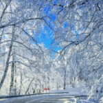 From Tbilisi: Private Sabaduri, Ananuri, & Gudauri Day Trip - The Practical Side: What’s Included and What to Know