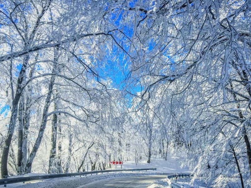 From Tbilisi: Private Sabaduri, Ananuri, & Gudauri Day Trip - The Practical Side: What’s Included and What to Know